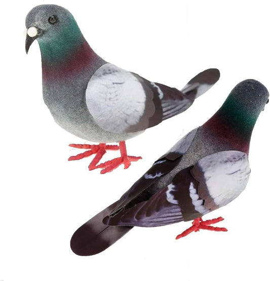 Mondain pigeons